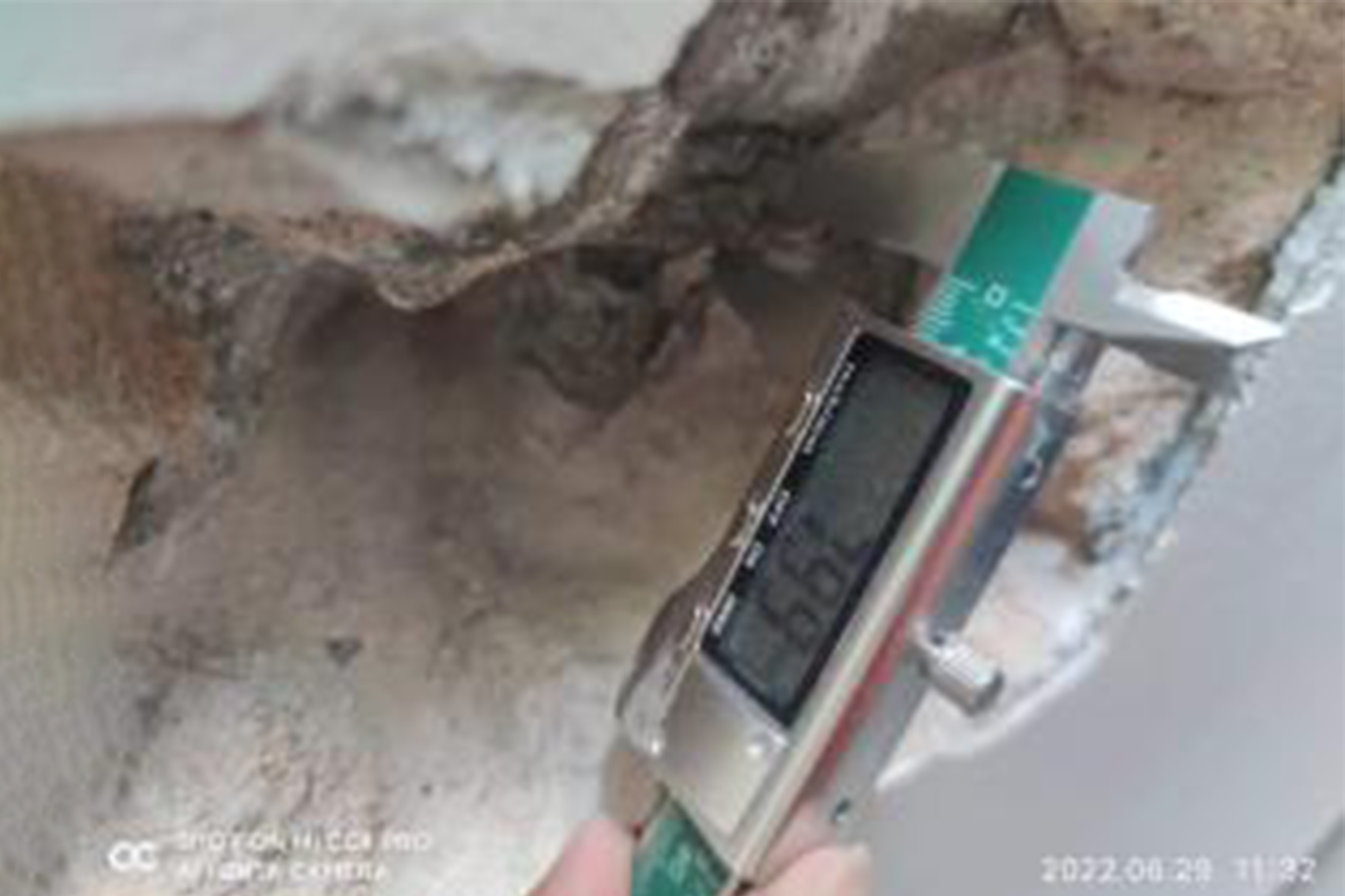 天河區信成街4號加裝電梯鑒定項目