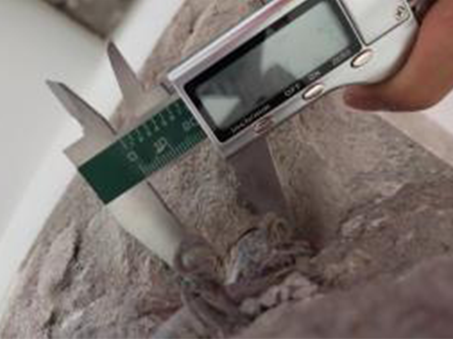 昌崗東路五巷7號加裝電梯鑒定項目